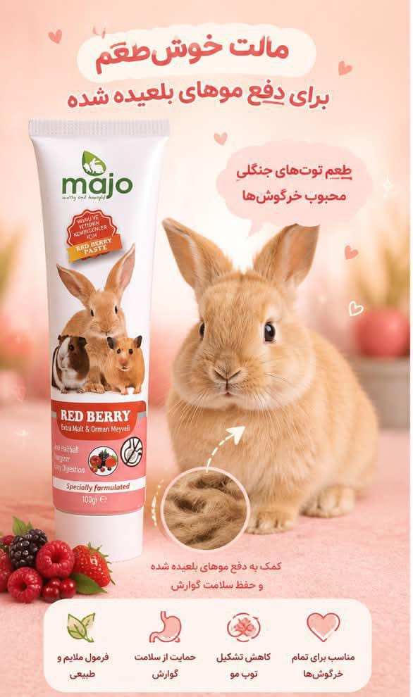 مالت خرگوش برند ماجو ترکیه