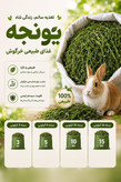 یونجه خشک خرگوش