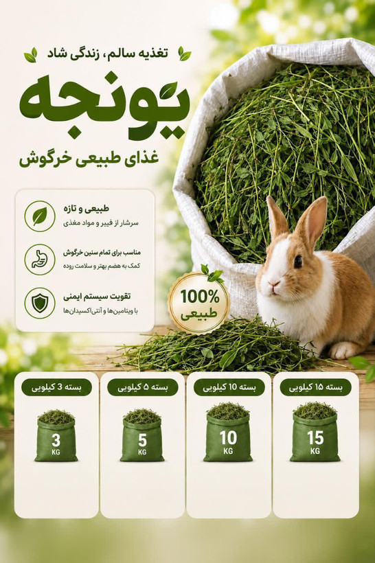 یونجه خشک خرگوش