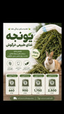 یونجه خشک خرگوش