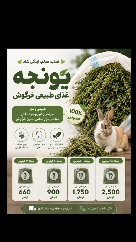 یونجه خشک خرگوش
