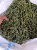 یونجه خشک خرگوش